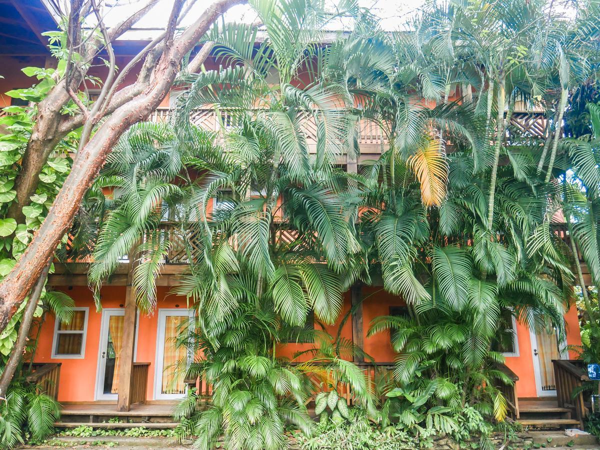Hotel Posada Las Orquideas,West End Extérieur photo