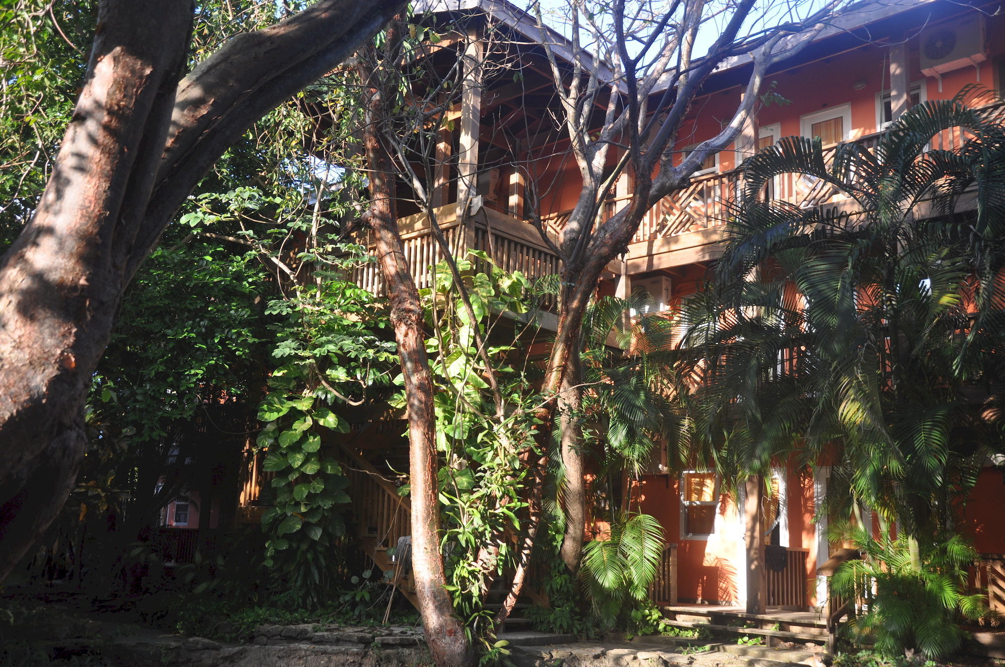 Hotel Posada Las Orquideas,West End Extérieur photo